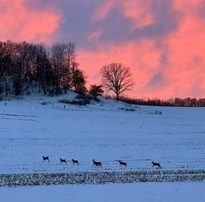 Meet your Posher, Beverly